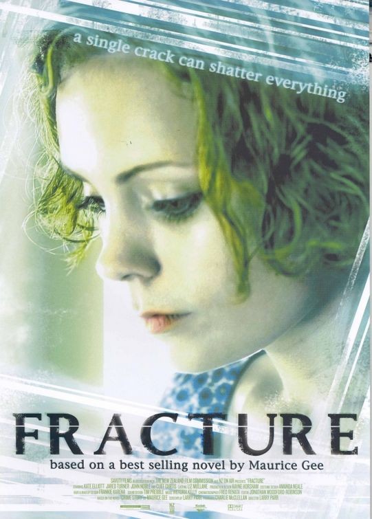 Fracture 135308
