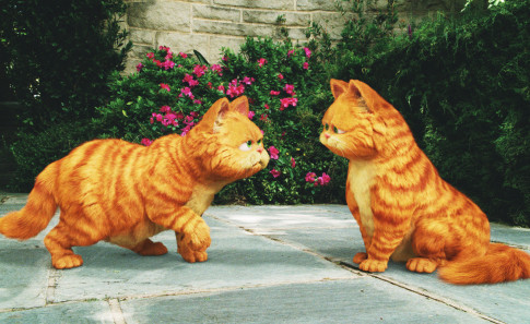 Garfield: A Tail of Two Kitties 124606