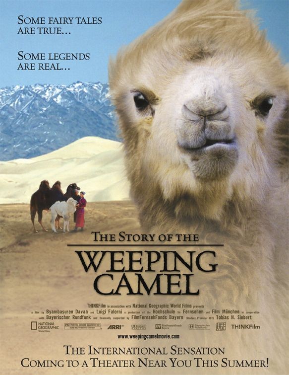 Geschichte vom weinenden Kamel, Die 137520