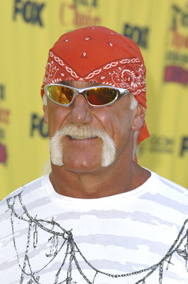 Hulk Hogan 165483