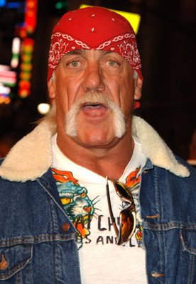 Hulk Hogan 165496