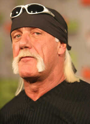 Hulk Hogan 165499