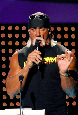 Hulk Hogan 165500