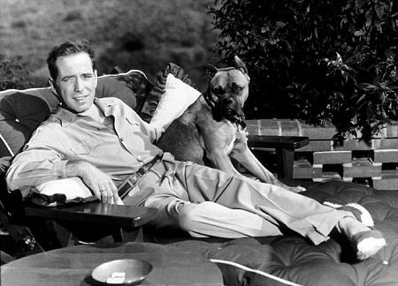 Humphrey Bogart 74923