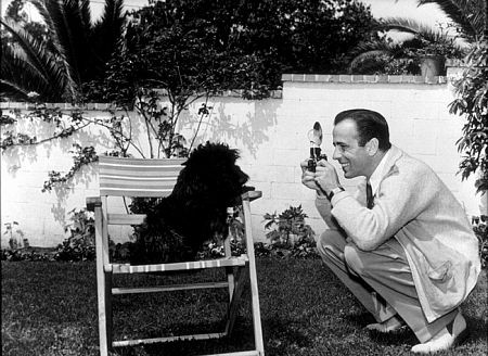 Humphrey Bogart 74926