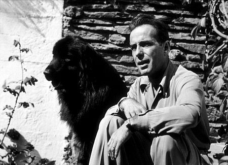 Humphrey Bogart 75012