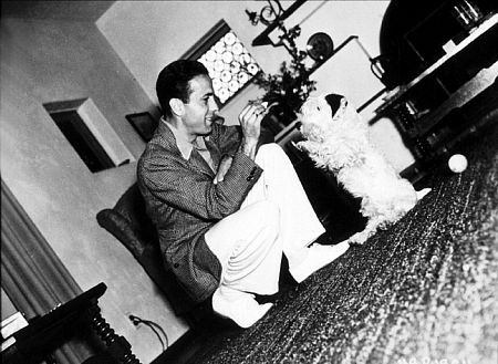 Humphrey Bogart 75038