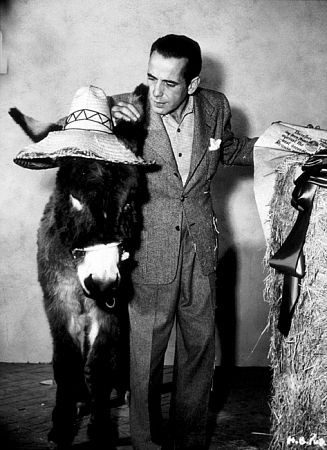 Humphrey Bogart 75057