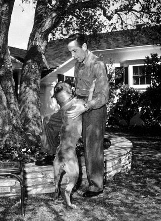 Humphrey Bogart 75217