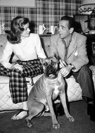 Humphrey Bogart 75233