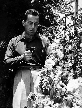 Humphrey Bogart 75366
