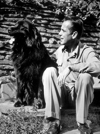 Humphrey Bogart 75372