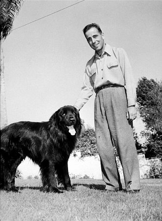 Humphrey Bogart 75382