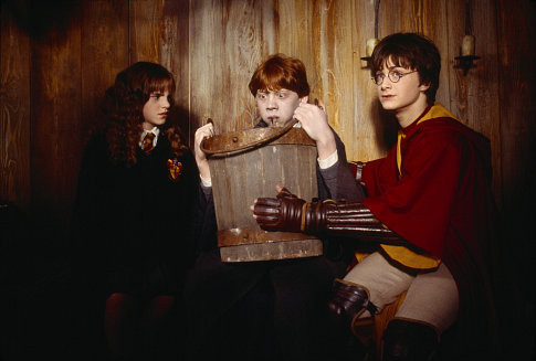 Harry Potter and the Chamber of Secrets 66201