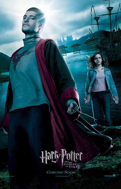 Harry Potter and the Goblet of Fire 135963