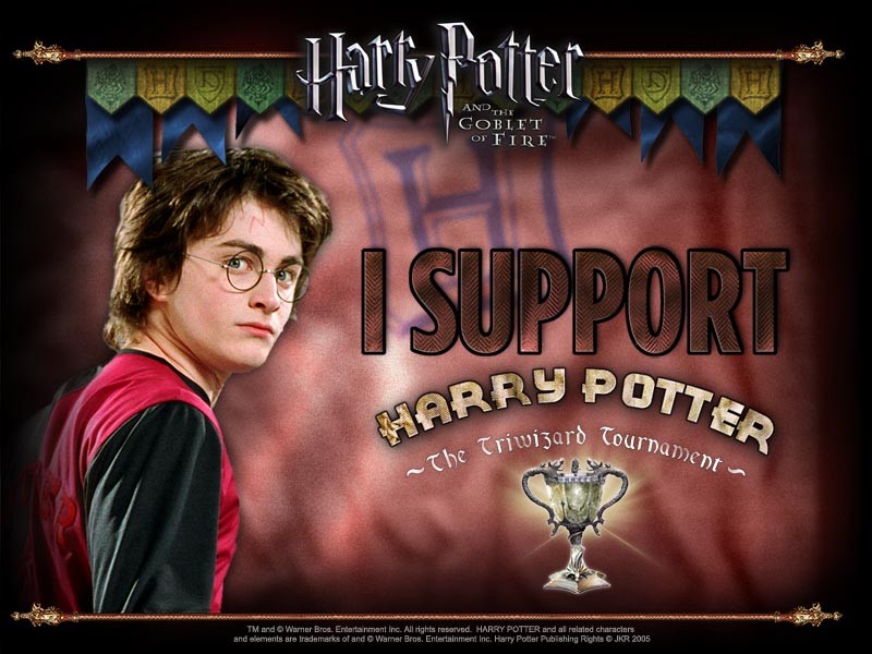 Harry Potter and the Goblet of Fire 150022