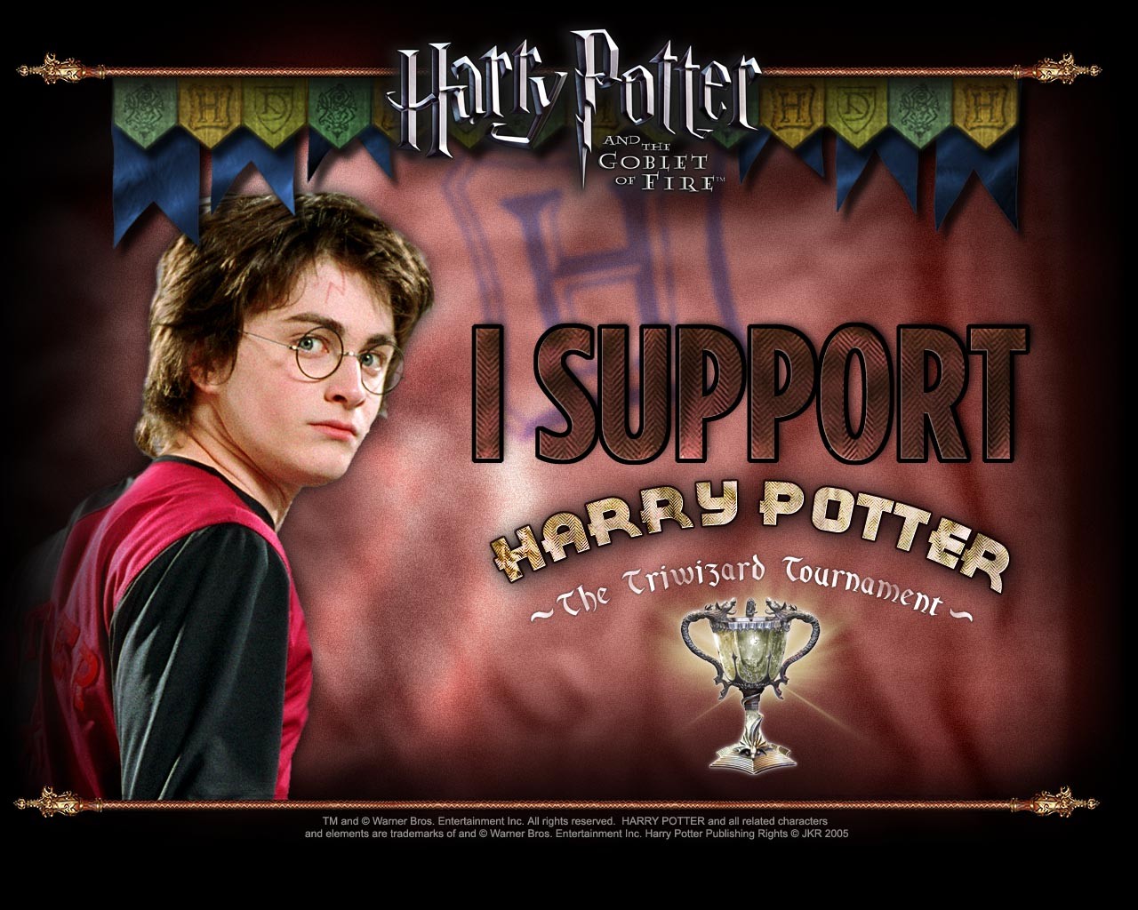 Harry Potter and the Goblet of Fire 150024