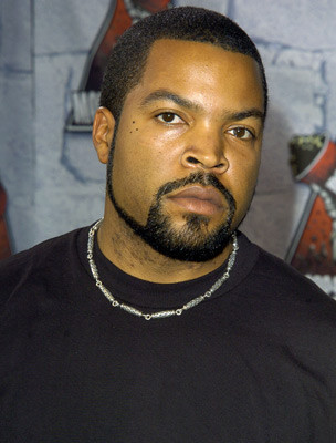 Ice Cube 129893