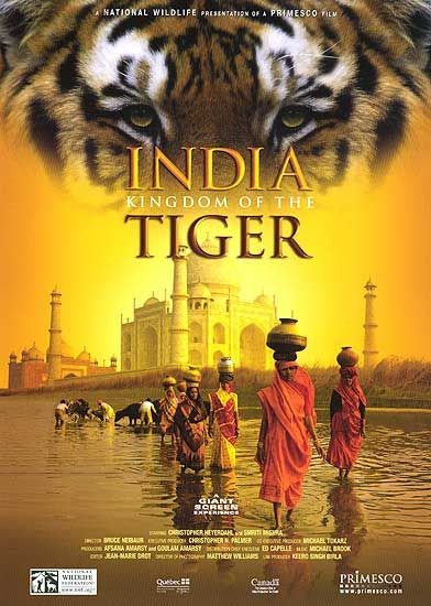 India: Kingdom of the Tiger 141415