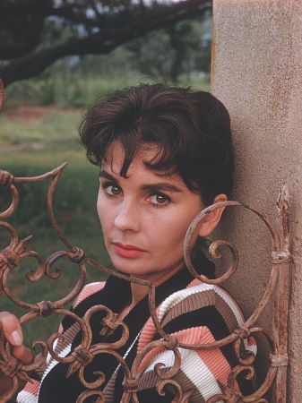 Jean Simmons 136206