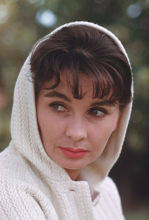 Jean Simmons 136207