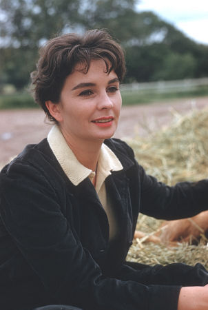 Jean Simmons 136211