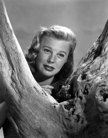 June Allyson 112604