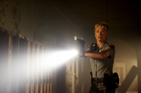 Laurie Holden 293689