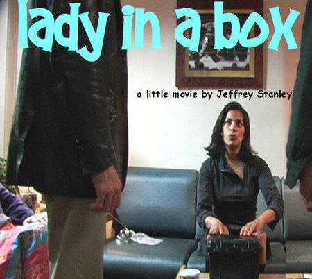 Lady in a Box 114773