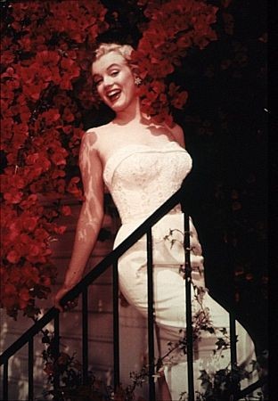 Marilyn Monroe 6292