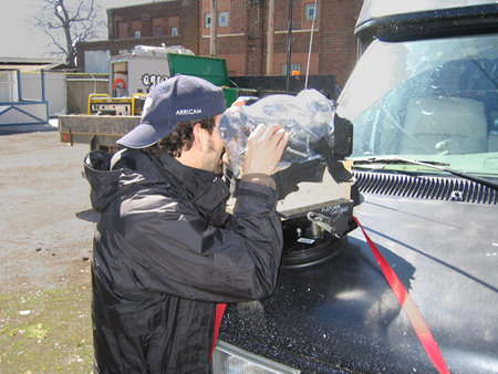 Michael Maniglia 379730