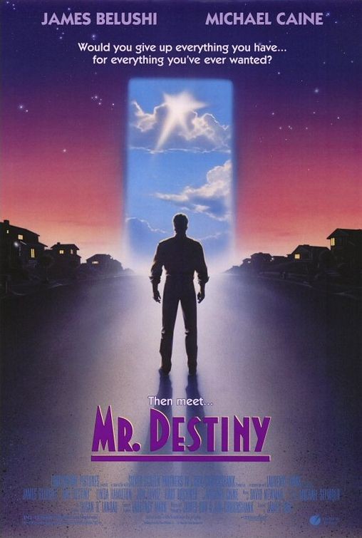 Mr. Destiny 144175