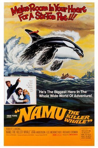 Namu, the Killer Whale 149172