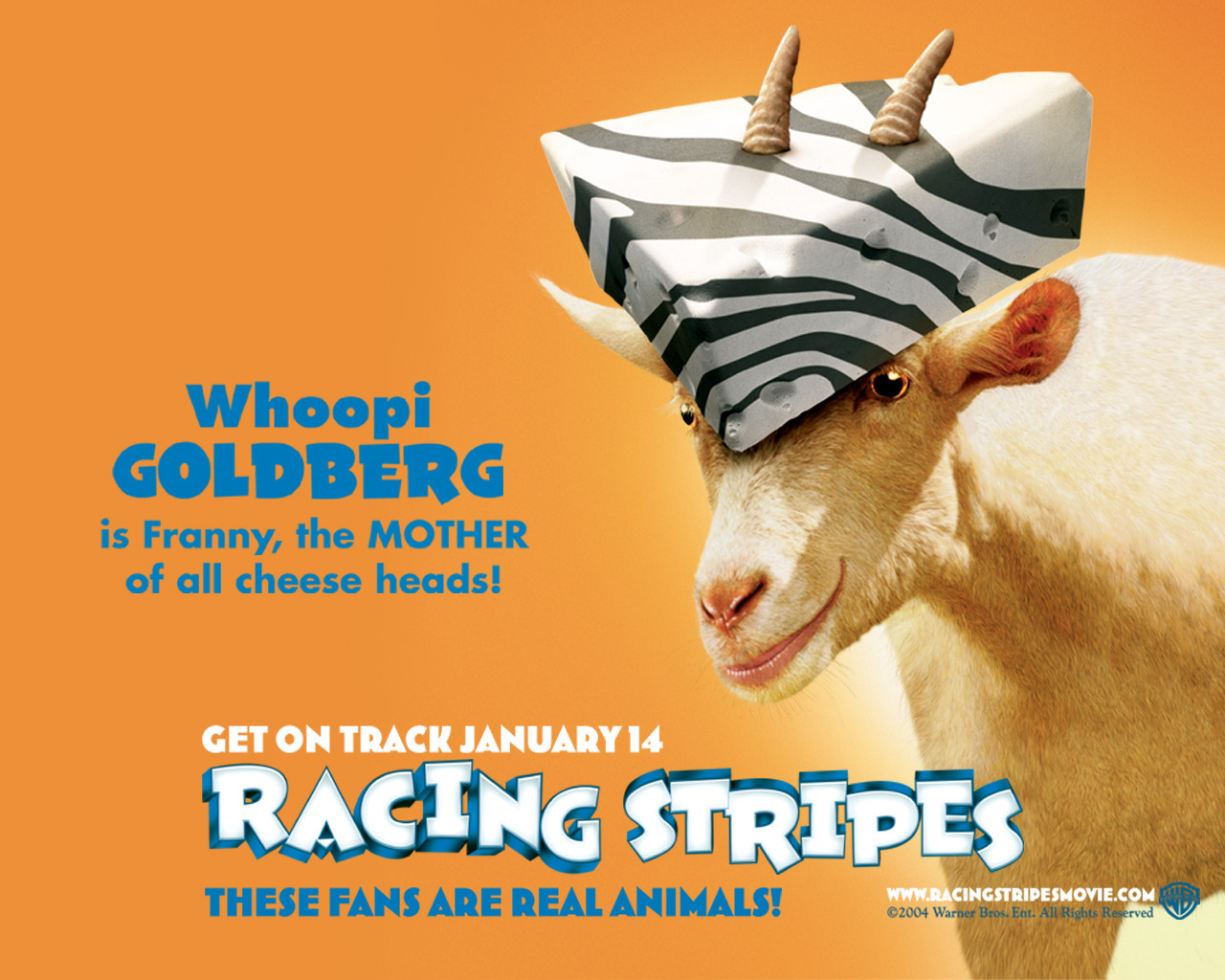 Racing Stripes 152560
