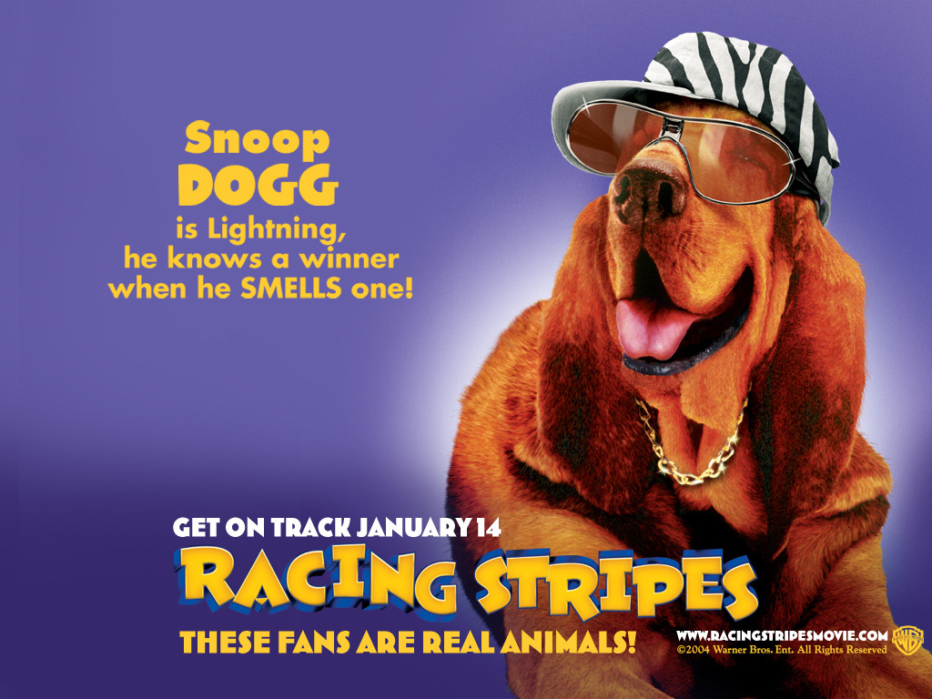 Racing Stripes 152562