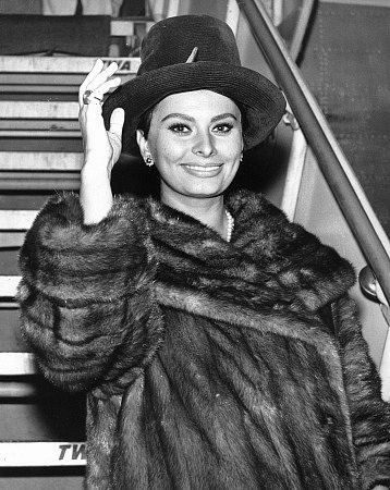 Sophia Loren 3548