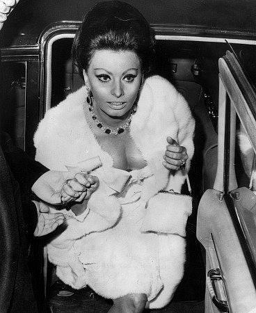 Sophia Loren 3559