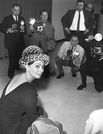 Sophia Loren 3565