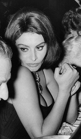 Sophia Loren 3573