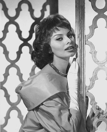 Sophia Loren 3631