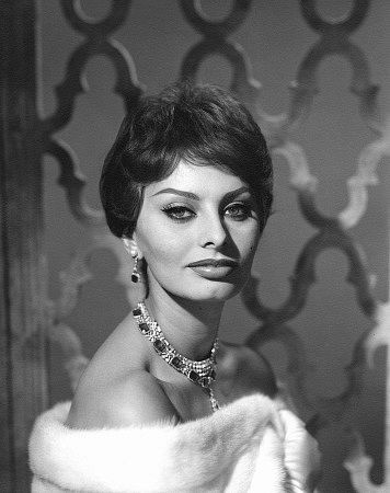 Sophia Loren 3632