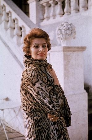 Sophia Loren 3640