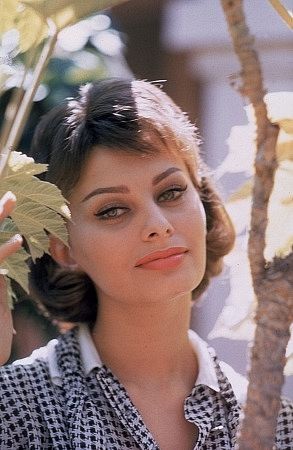 Sophia Loren 3644