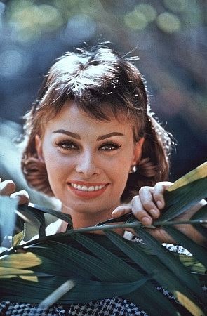 Sophia Loren 3645