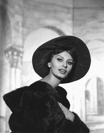 Sophia Loren 3646