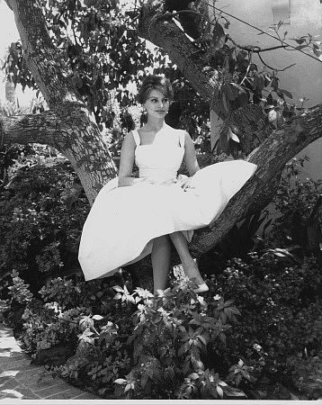 Sophia Loren 3647