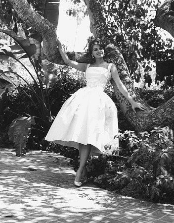 Sophia Loren 3654