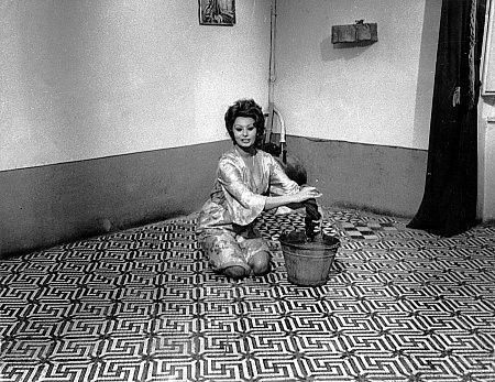 Sophia Loren 3682