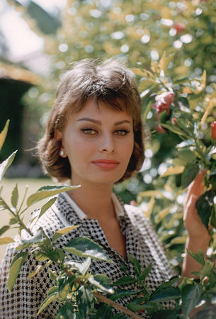 Sophia Loren 3687