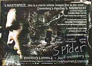 Spider 14253